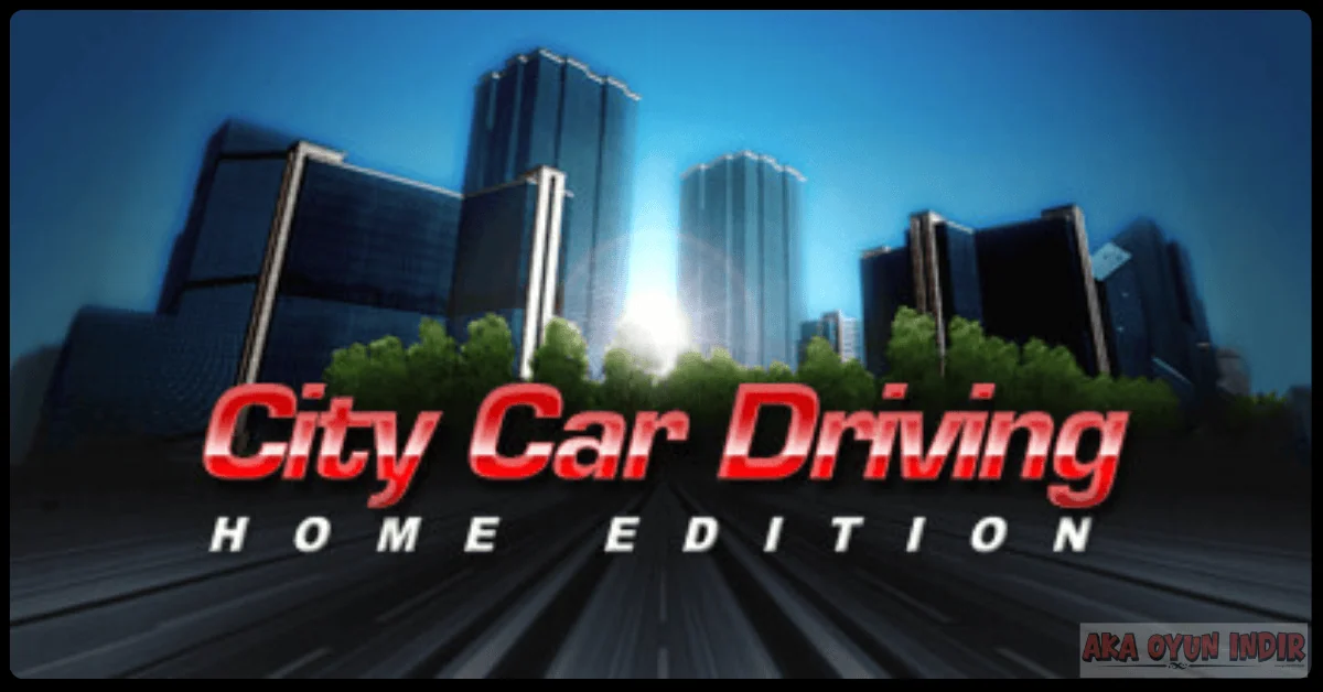 City Car Driving Indir
