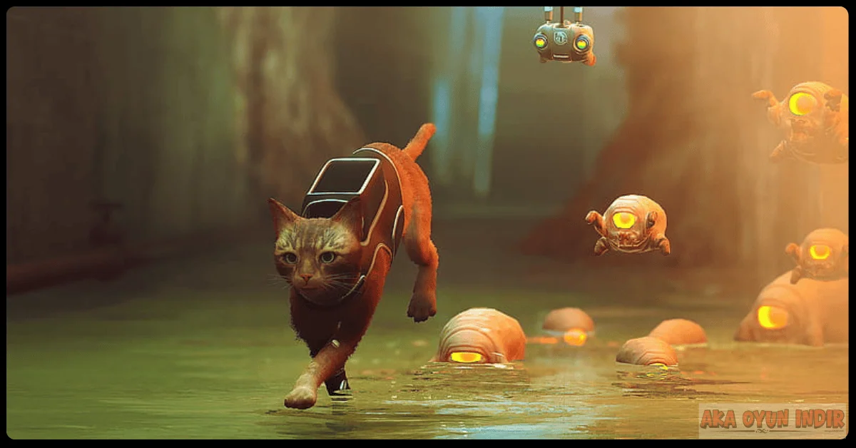 Stray Indir