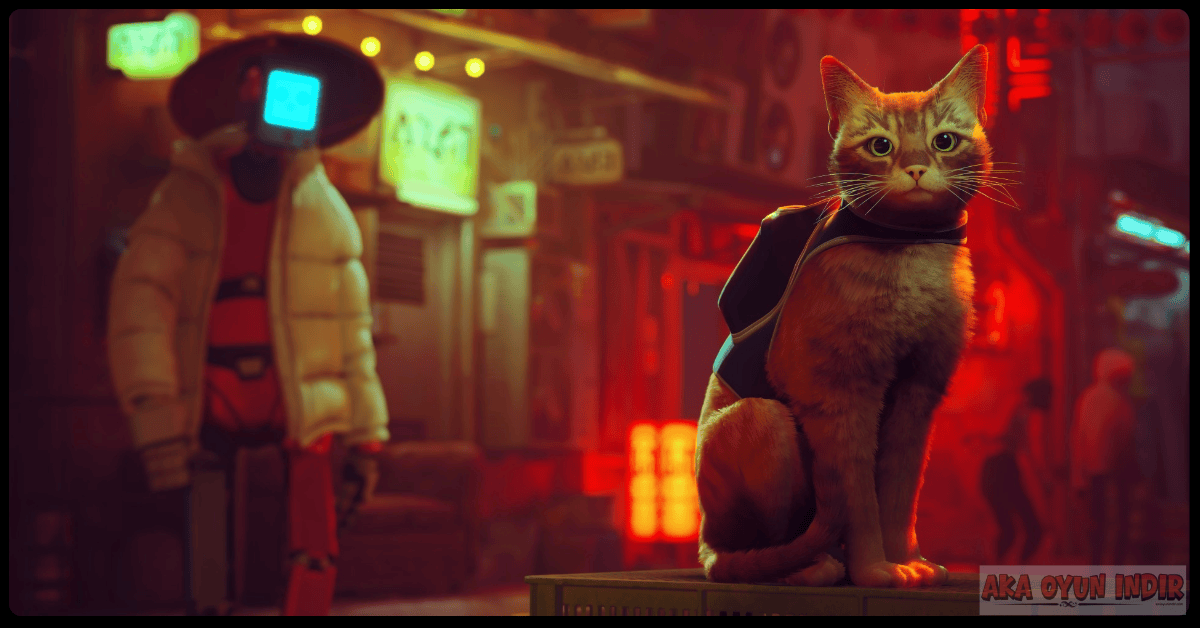 Stray Indir