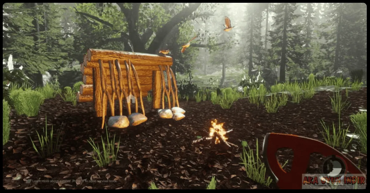 The Forest İndir